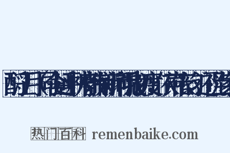 酹江月（同舍延平林府教制新词祝我初度，依声依韵，还祝当家）是什么意思的图片